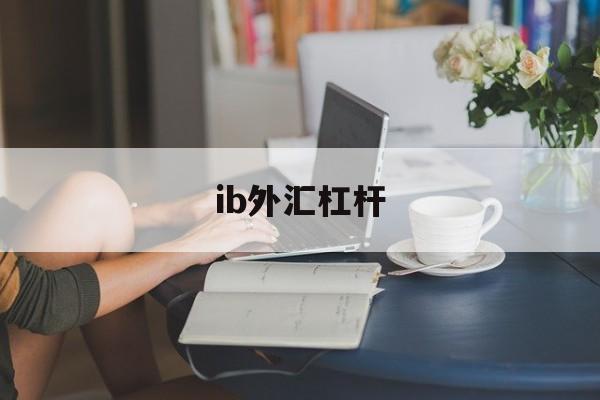 ib外汇杠杆(外汇中杠杆是什么意思)